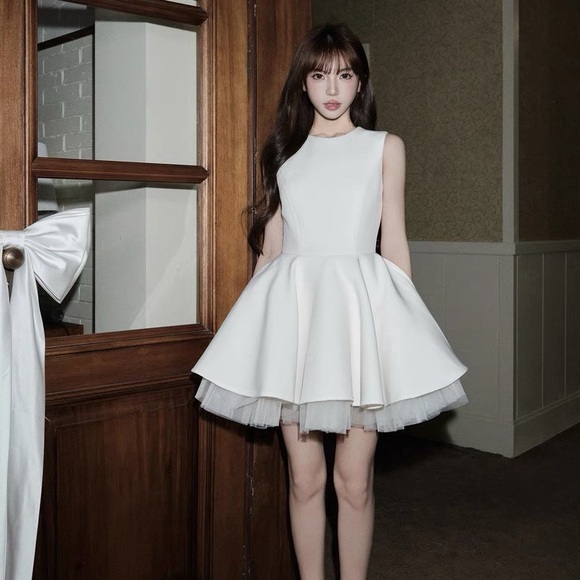 Dresses & Skirts - (New) White Fit & Flare Mini Dress – Soft Luxury / Princess Aesthetic